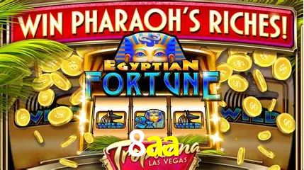 Apostas Esportivas na 8aa: Um Guia Completo